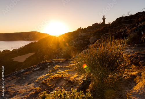 Photography Palm Beach at sunset, Australia