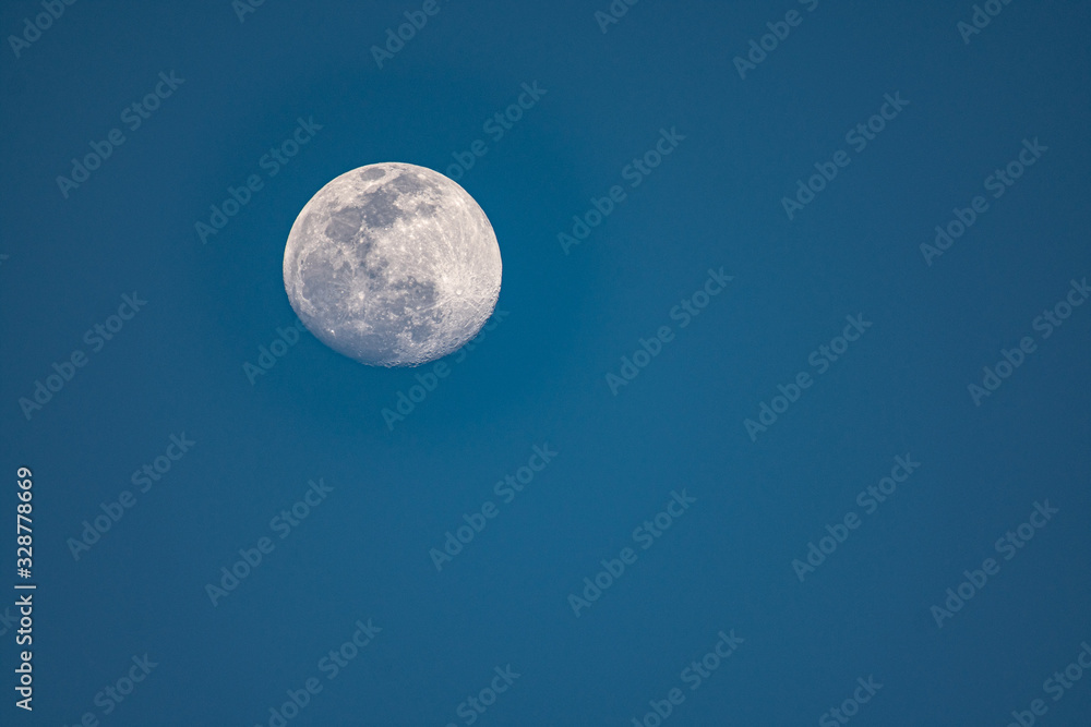 full moon in the sky