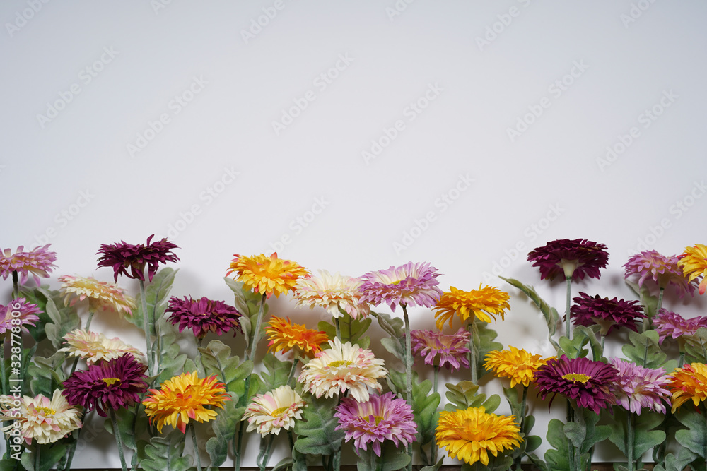 Spring flowers on white background. Empty space for design.