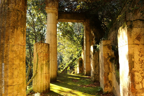 Fototapeta Naklejka Na Ścianę i Meble -  Pilastri nella foresta