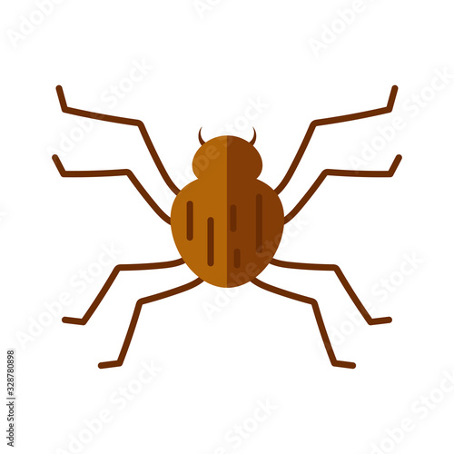 spider insect icon, flat style