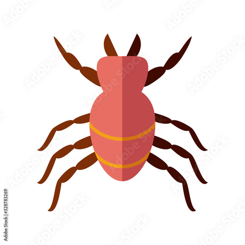mite insect, flat style icon