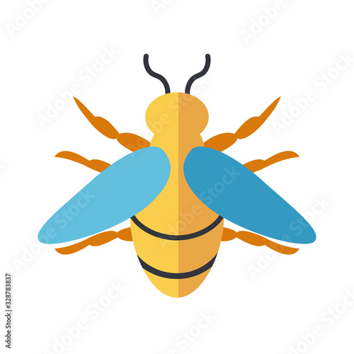 honeybee insect, flat style icon