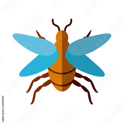 mayfly insect icon, flat style