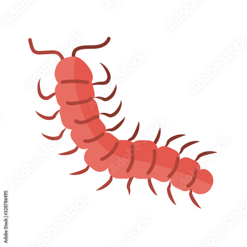 centipede insect, flat style icon