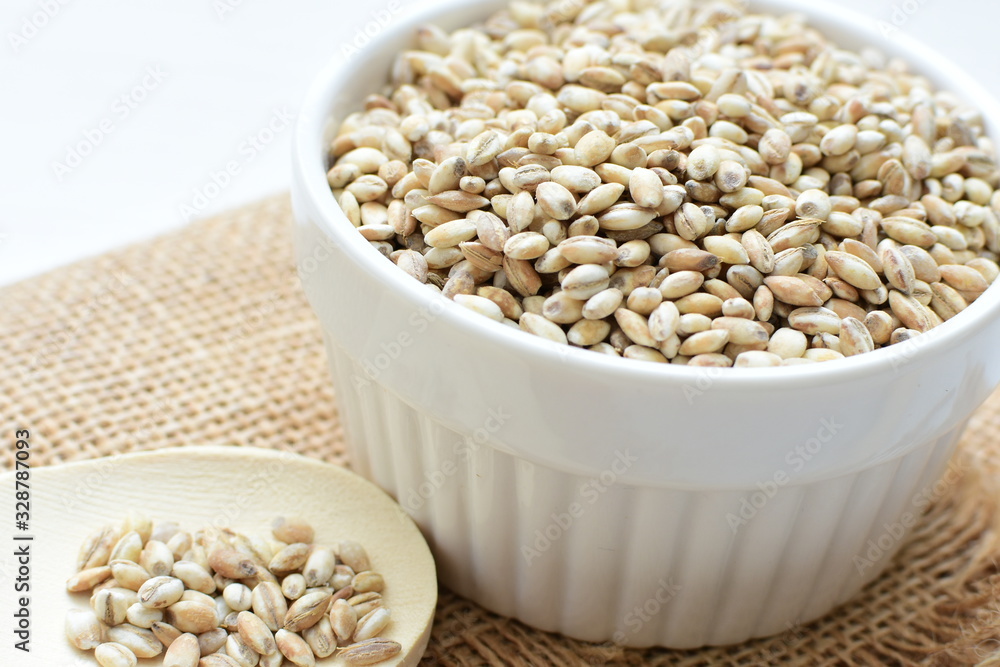 Raw barley grains, exhibited in containers on bottom in cloth Raw barley grains, exhibited in containers on bottom in cloth