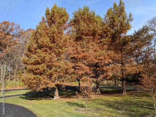 Autumn in the Park