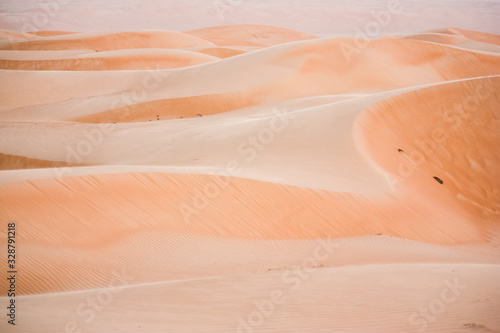 Scatti nel deserto dell'Oman