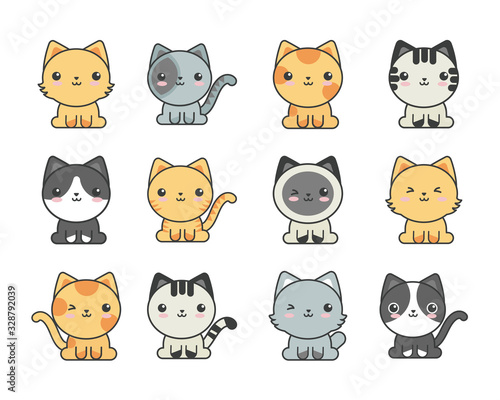 set of cute cats on white background
