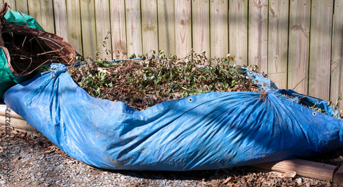 Cut pile of pruned tree branches bagged in a blue plastic tarp. 