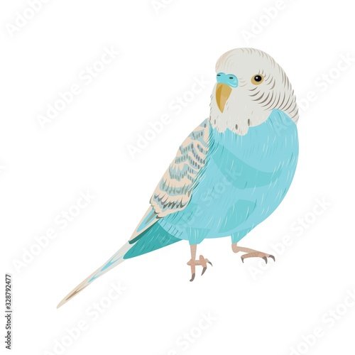 インコ