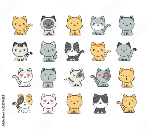 set of cute cats on white background