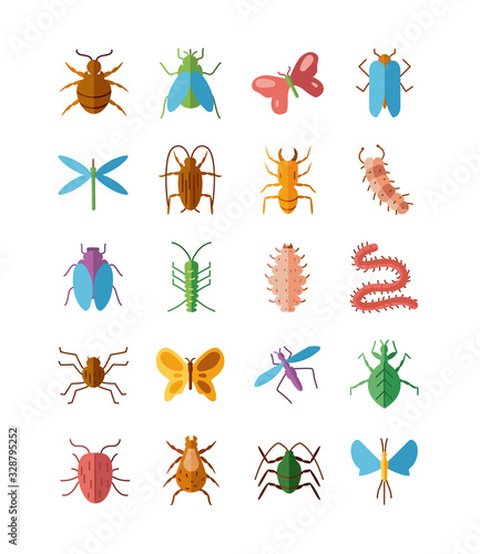 butterfly and insect icon set, flat style