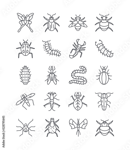 butterfly and insect icon set, line detail style