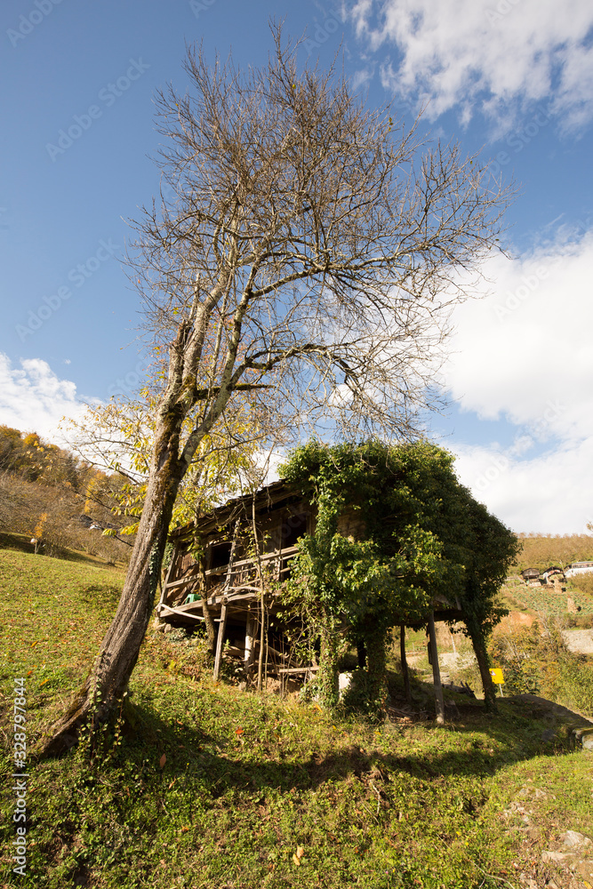 Karagöl Nature Park located in Borcka and Savsat districts of Artvin Karagöl Nature Park located in Borcka and Savsat districts of Artvin