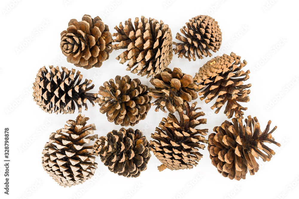 Group of pine cones isolated on white background. Pine cone is made of natural wood and famous to decorate Christmas tree or create more Christmas atmosphere. Group of pine cones isolated on white background. Pine cone is made of natural wood and famous to decorate Christmas tree or create more Christmas atmosphere.