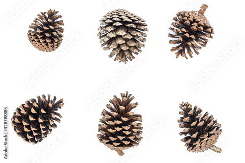 Group of pine cones isolated on white background. Pine cone is made of natural wood and famous to decorate Christmas tree or create more Christmas atmosphere.