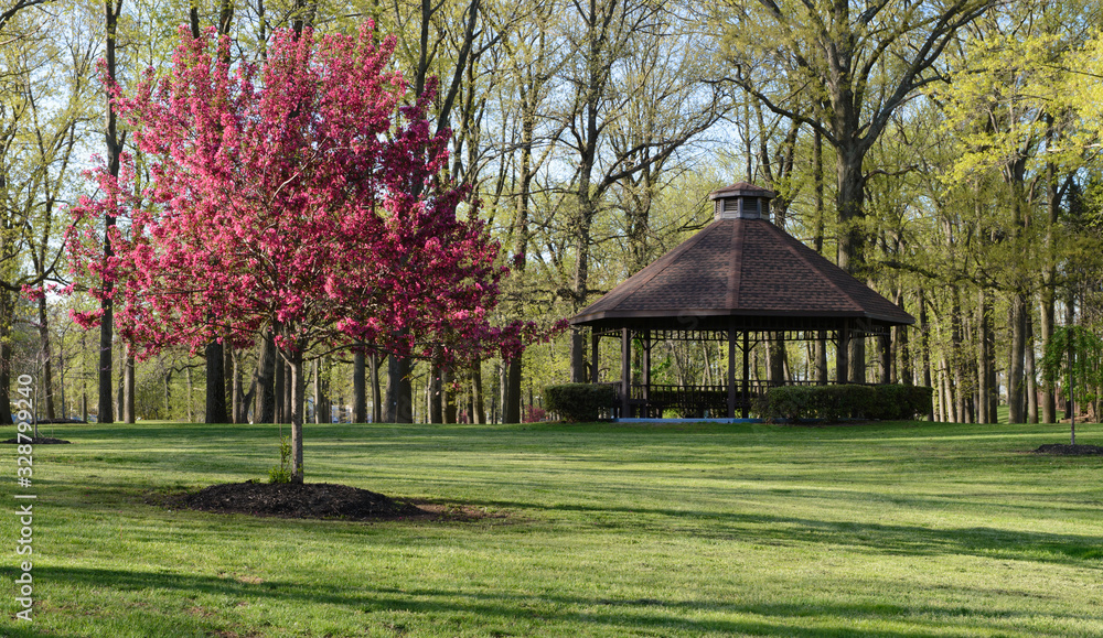 Inviting tranquil scene with single red cherry tree in a park with a pavilion in background Inviting tranquil scene with single red cherry tree in a park with a pavilion in background