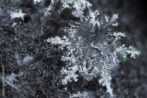 Closeup macro photo of a snowflake in winter. photo