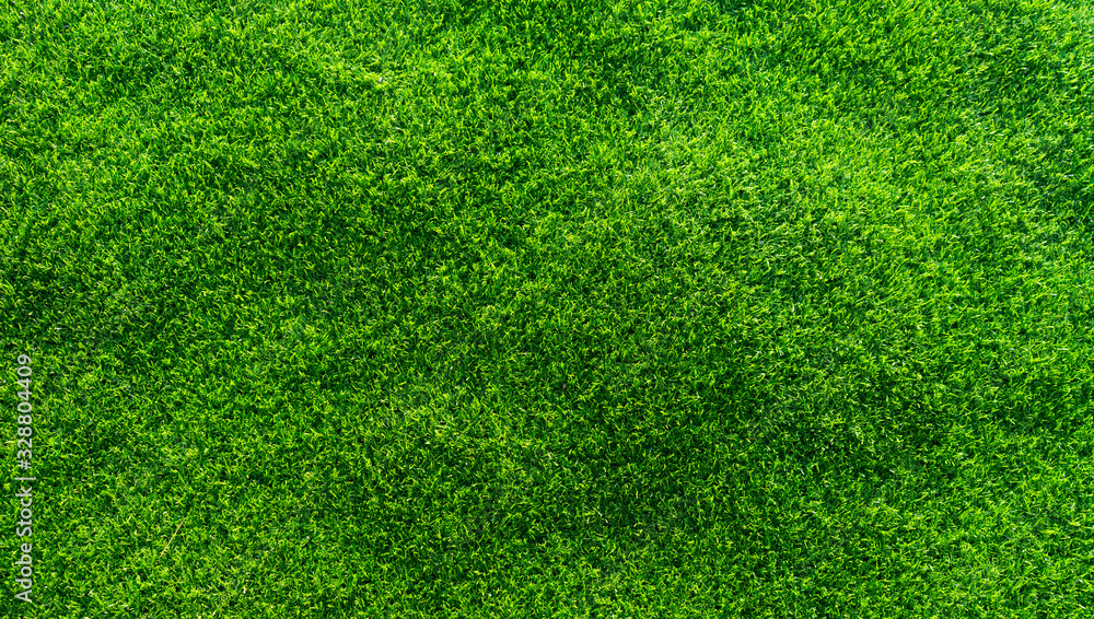Obraz premium Artificial grass background
