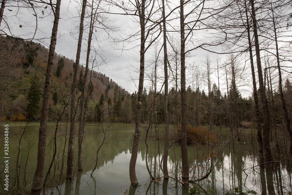 Obraz premium Karagöl Nature Park located in Borcka and Savsat districts of Artvin