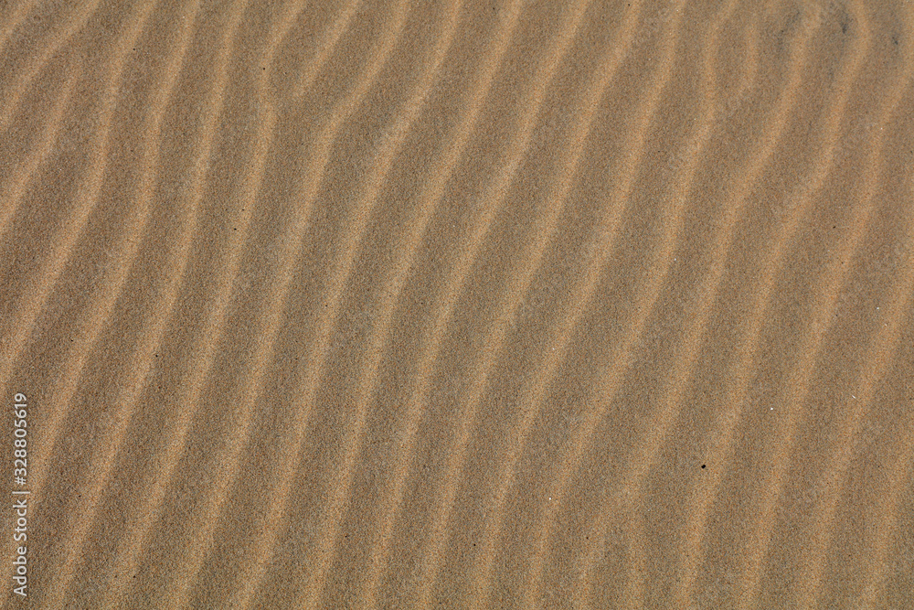 Natural Beach Landscape Natural Beach Landscape