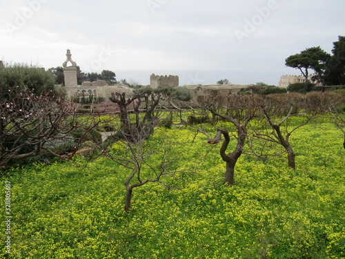 Exterior view of Certosa di San Giacomo, or Saint James' Charterhouse, on the island of Capri, Italy  photo