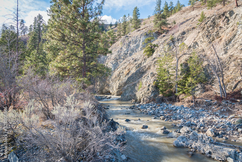 Foto View of Trout Creek flowing through ravine and forest in springtime