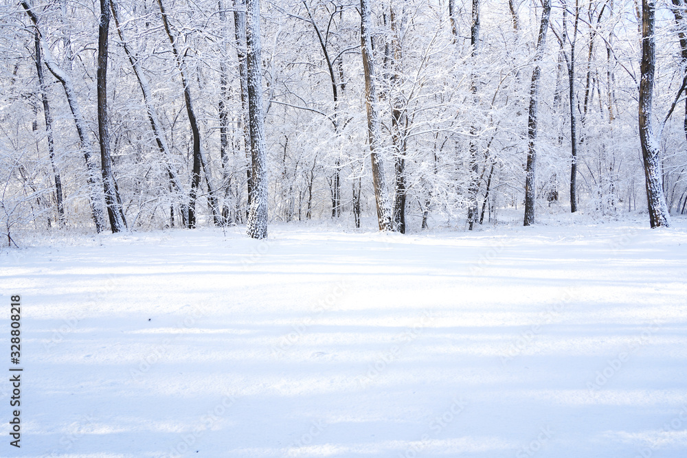 There are rime trees after the snow There are rime trees after the snow