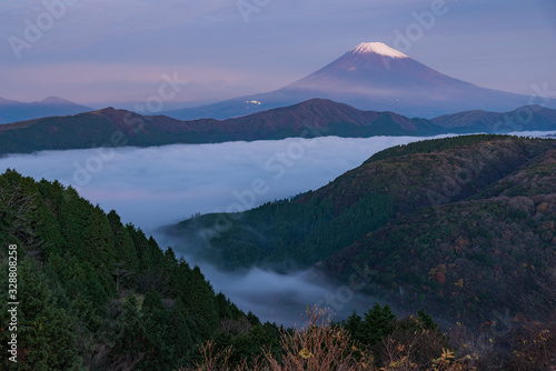 大観山 雲海と富士山