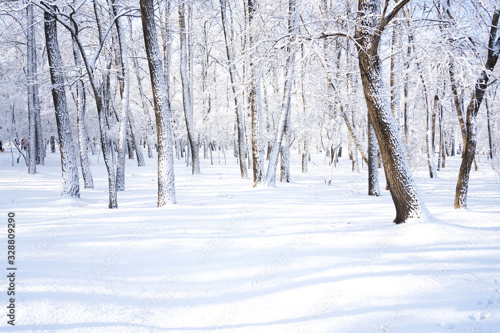 There are rime trees after the snow There are rime trees after the snow