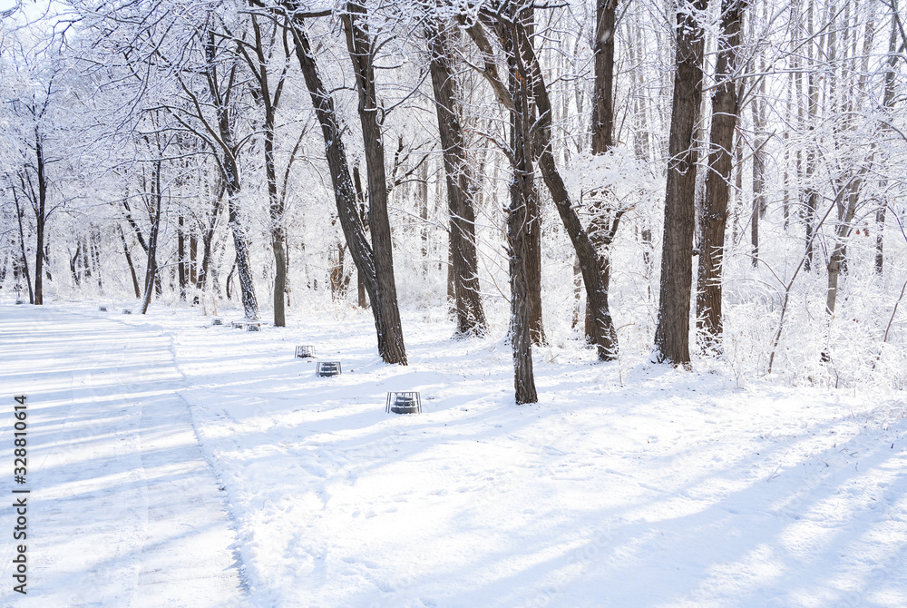 There are rime trees after the snow There are rime trees after the snow