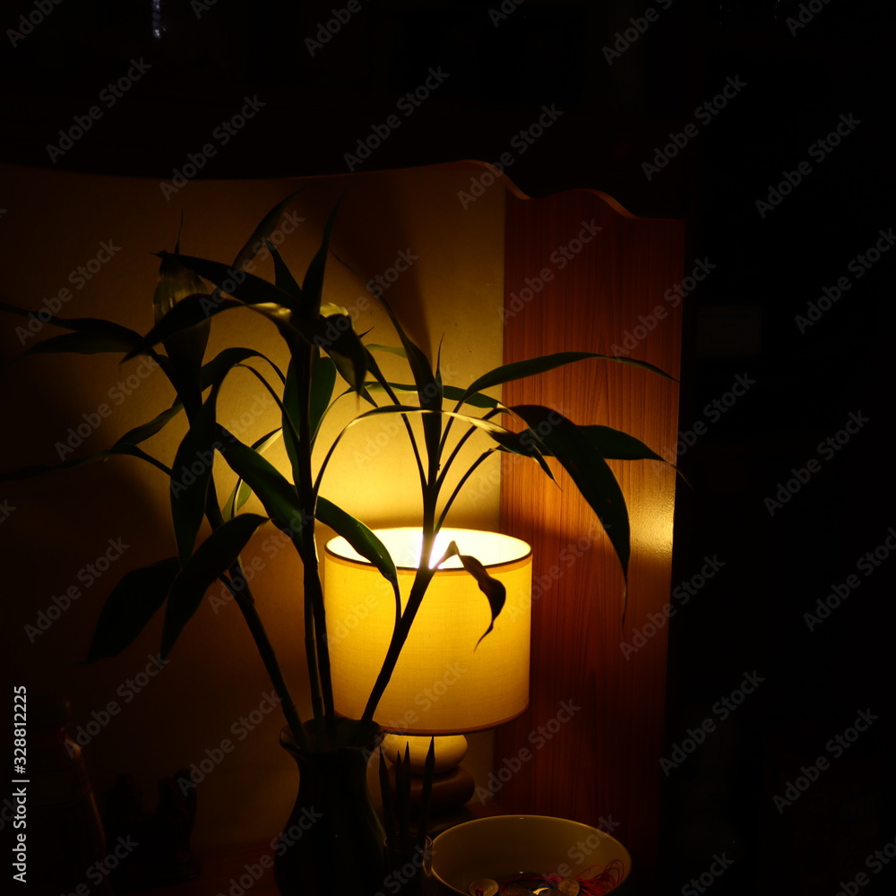 lamp in the night lamp in the night