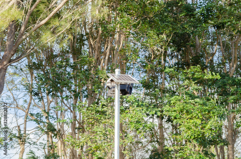 Outdoor Solar Lamp Against The Background Of Trees Outdoor Solar Lamp Against The Background Of Trees