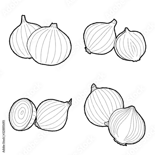Fototapeta Onions Vector Illustration Hand Drawn Vegetable Cartoon Art