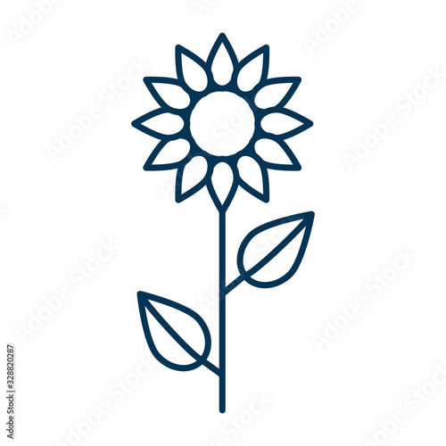 Thin line vector outline icon of a sunflower flower with two leaves slenderly standing on a white background isolated with editable stroke