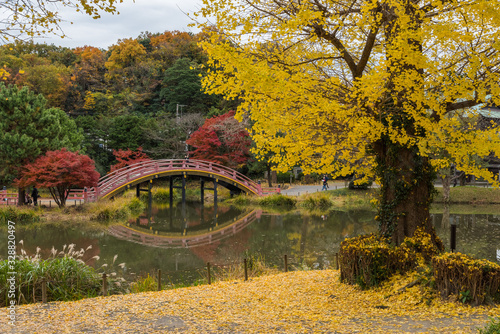 称名寺 紅葉