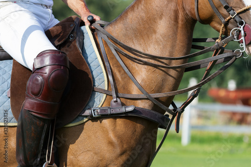 Horse polo player with riding boots and knee caps holds in his hands the reins: protective equipment closeup, profile view