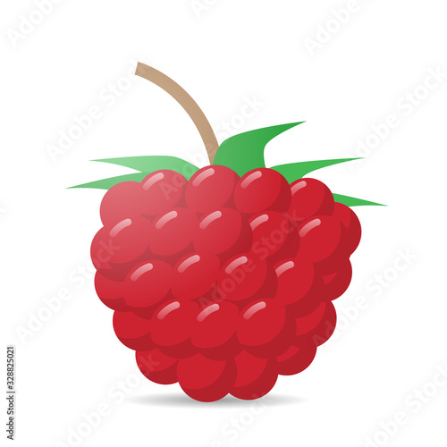 fresh juicy raspberry icon tasty ripe fruit isolated on white background healthy food concept vector illustration