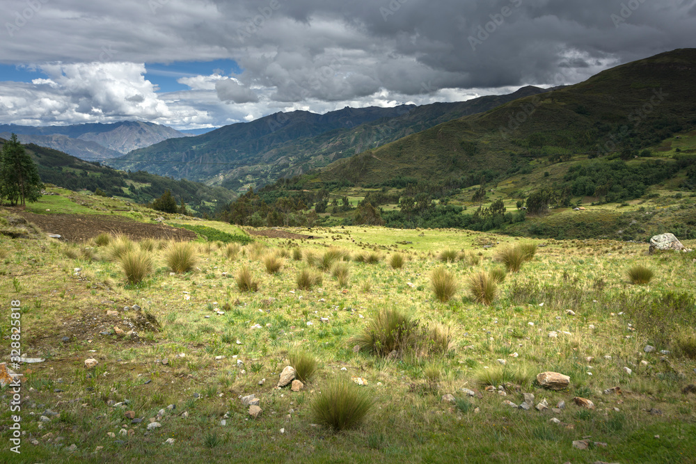 Landscape with Ichu plants at the border between croplands and highlands in Suni and Puna region in Peru
