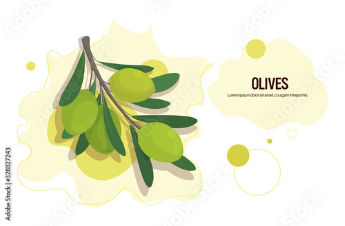 fresh olives branch sticker tasty vegetable icon healthy food concept horizontal copy space vector illustration