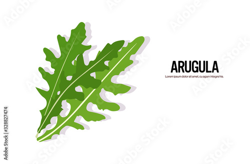 realistic rucola tasty fresh herb green leaves of arugula icon healthy food concept horizontal vector illustration