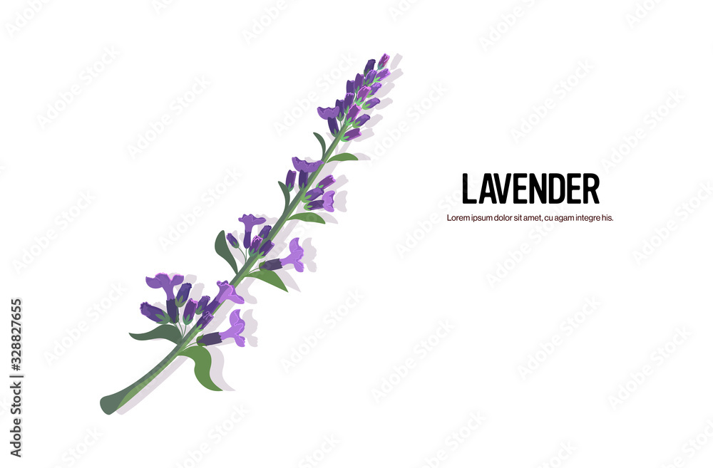 Obraz premium realistic lavender twig tasty fresh tea herb healthy food concept horizontal copy space vector illustration