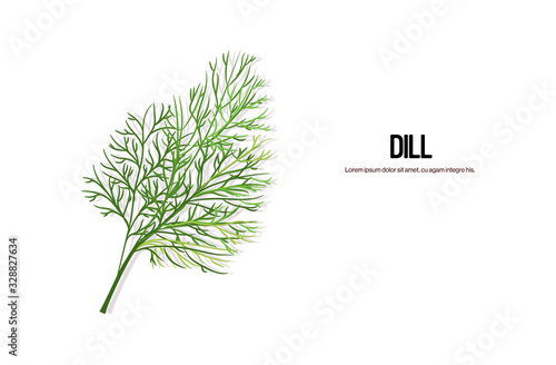 realistic dill twig tasty fresh green leaves healthy food concept horizontal copy space vector illustration