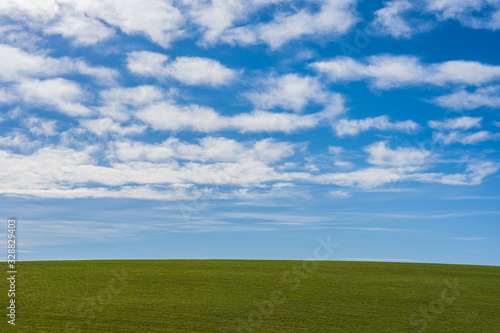 Landscape background with green grass mountain hill and blue sky with scattering white cloud.