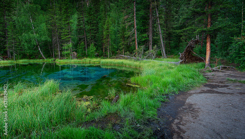 blue lake in which fountains at the bottom color blue circles in the vicinity of the village Aktash, Altai Mountains