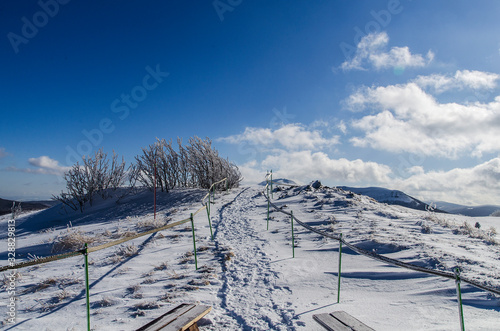 Fototapeta Naklejka Na Ścianę i Meble -  Bieszczady zimą połoniny