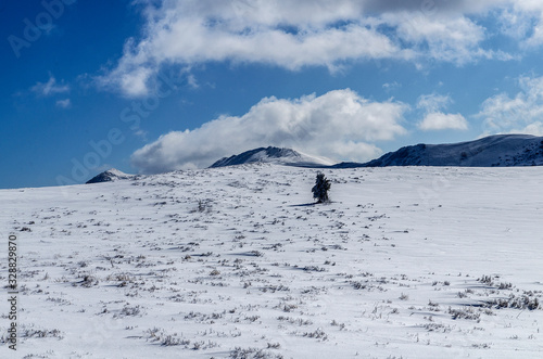 Fototapeta Naklejka Na Ścianę i Meble -  Bieszczady zimą połoniny