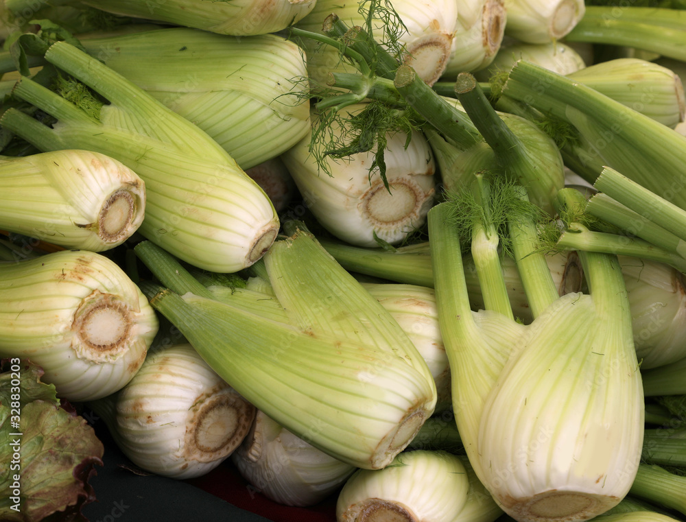ripe fennels for sale in the greengrocer stall ripe fennels for sale in the greengrocer stall