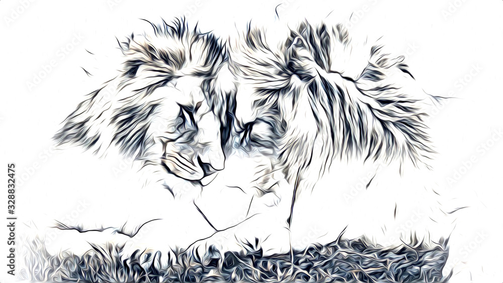 Naklejka lion art illustration drawing